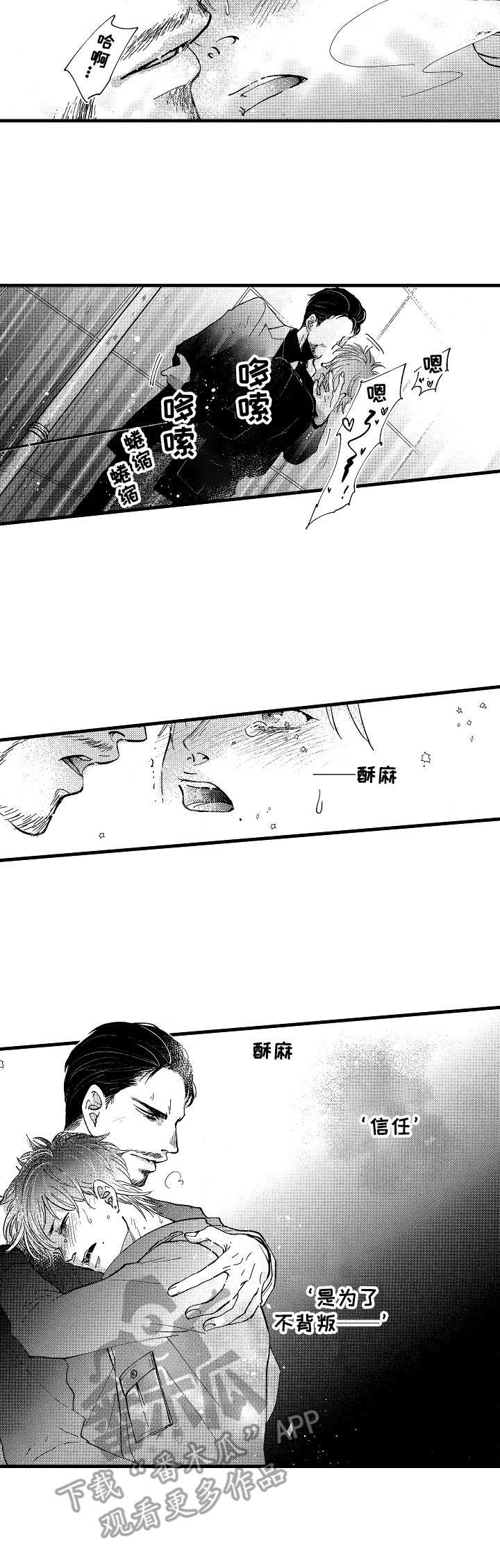 第9章：信任11