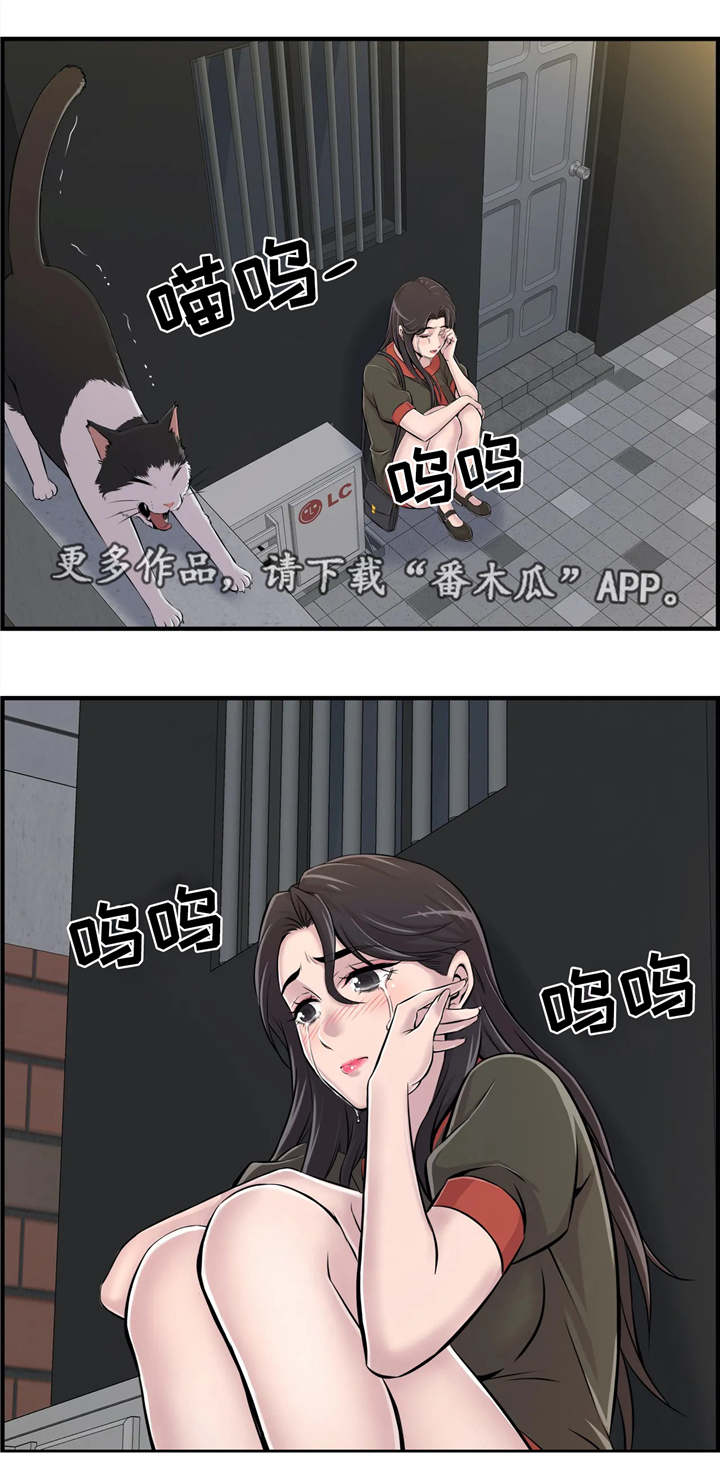 第12章：安慰13