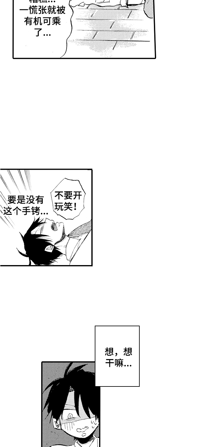 第16章：有机可乘15