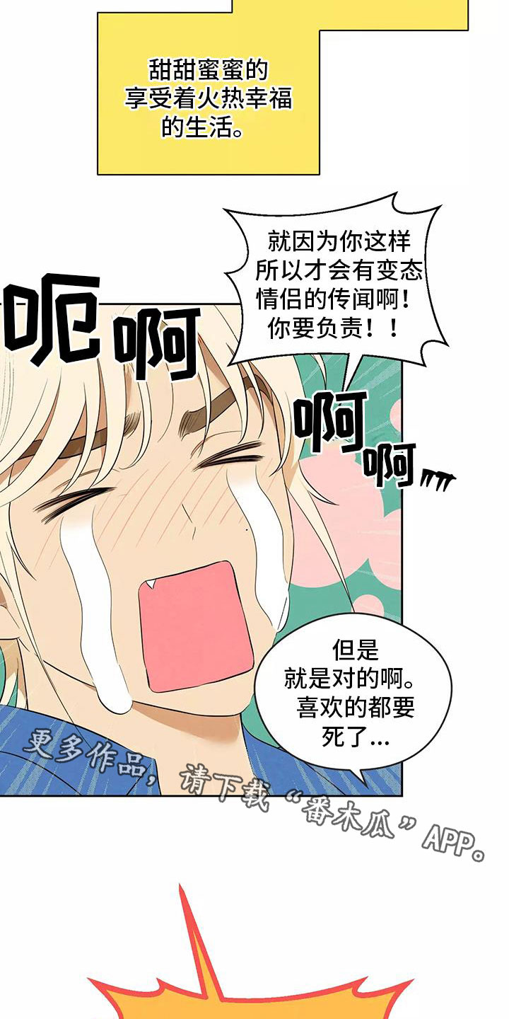 第7章：新的传闻15
