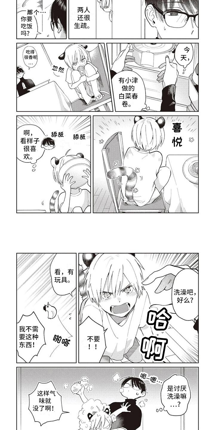 第23章：循序渐进5