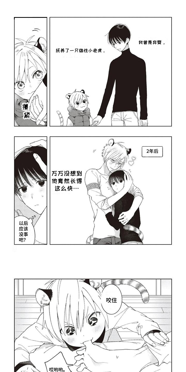 第1章：小老虎0