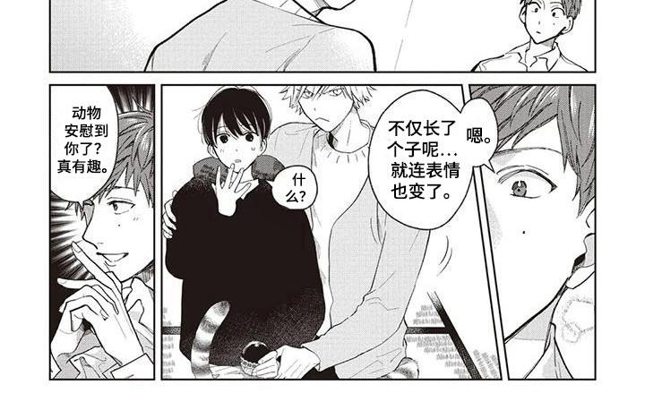 第13章：安逸的生活6