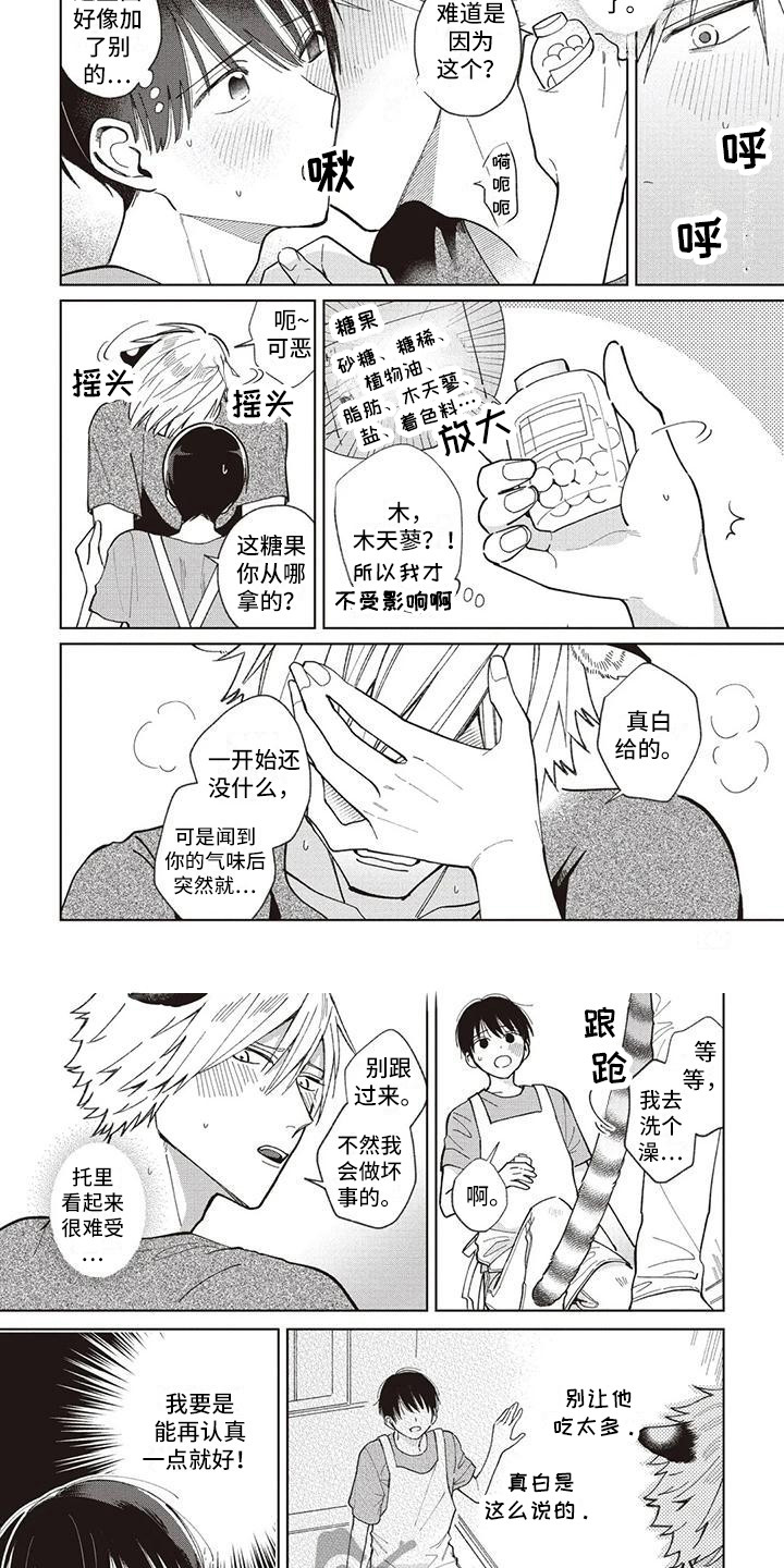第25章：托里与天木蓼5