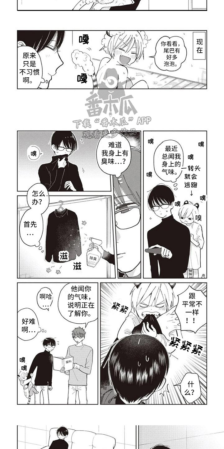 第23章：循序渐进6