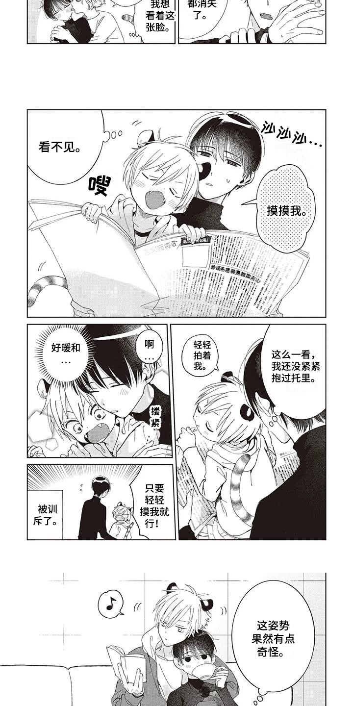 第1章：小老虎2