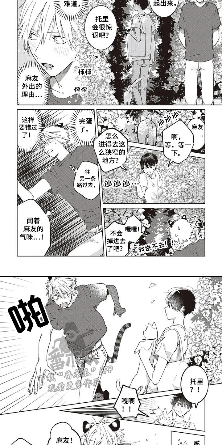 第12章：托里的将来5