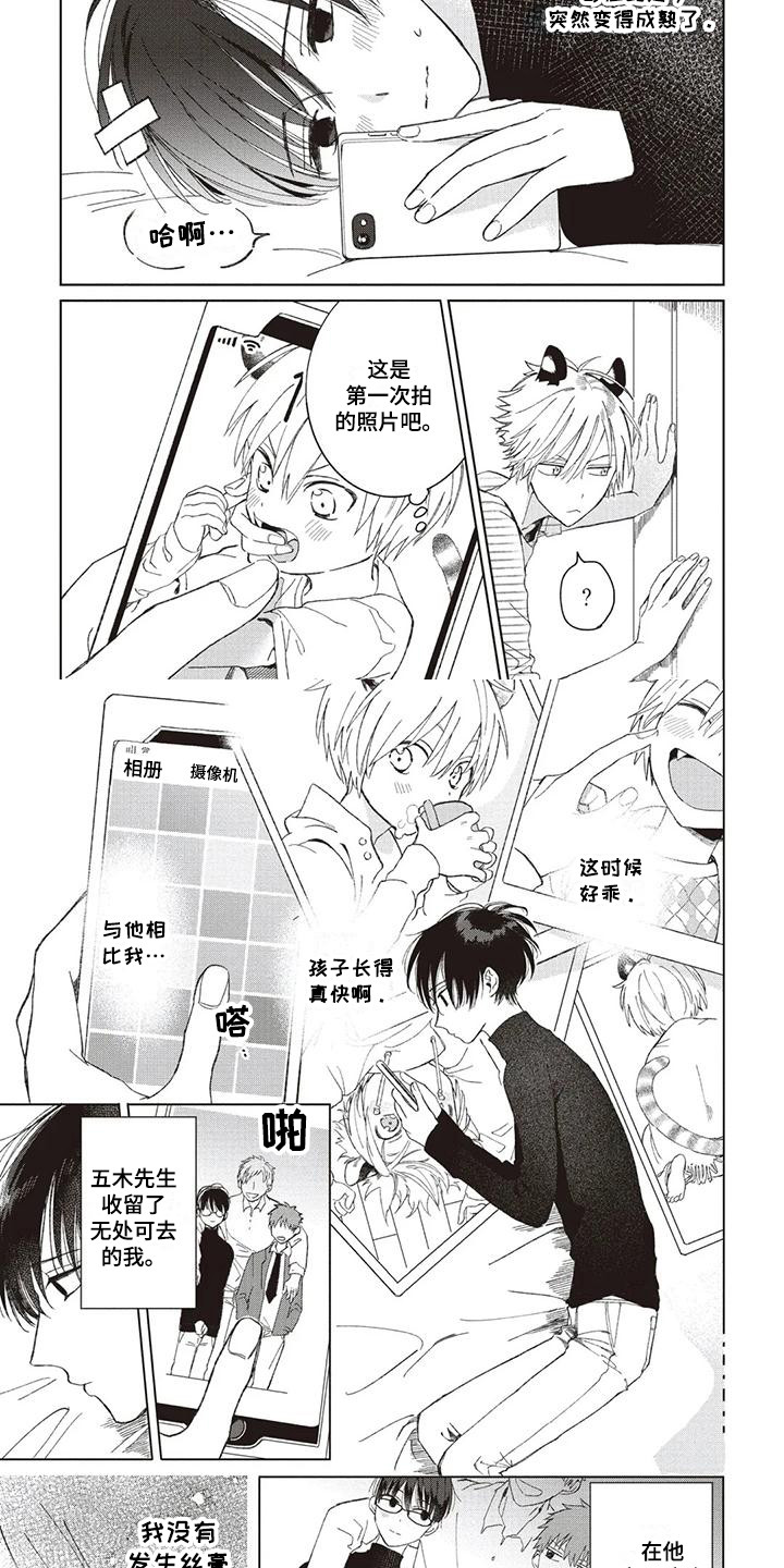 第1章：小老虎8