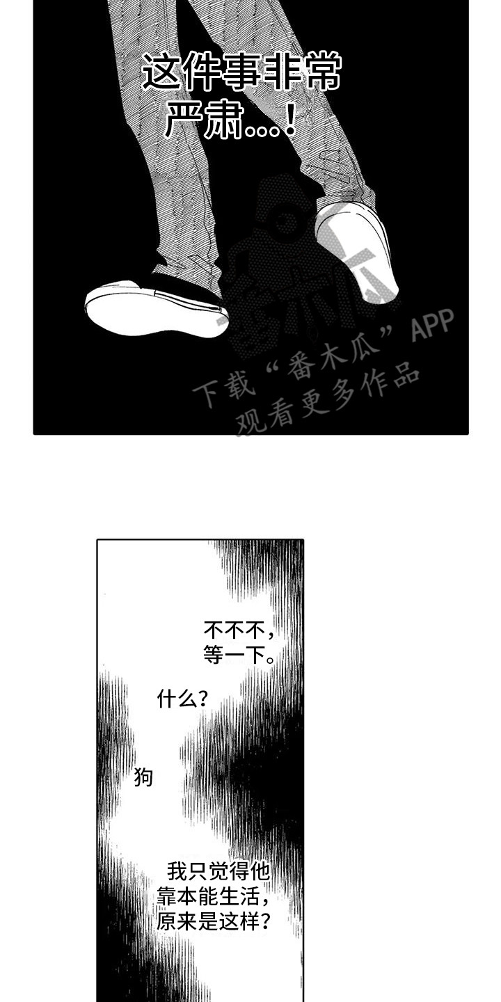 第19章：过往9