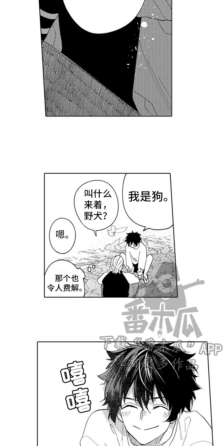 第15章：很可爱9