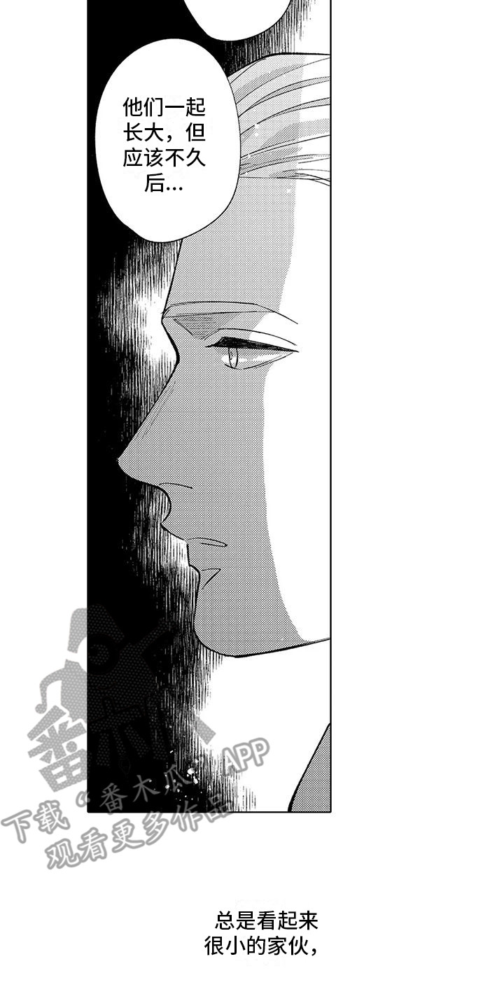 第11章： 孤独背影5