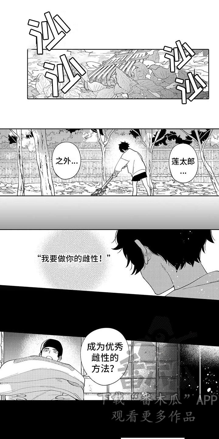 第14章：建议5