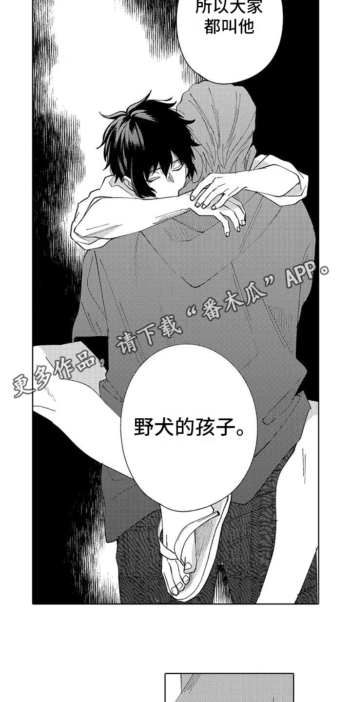 第19章：过往7
