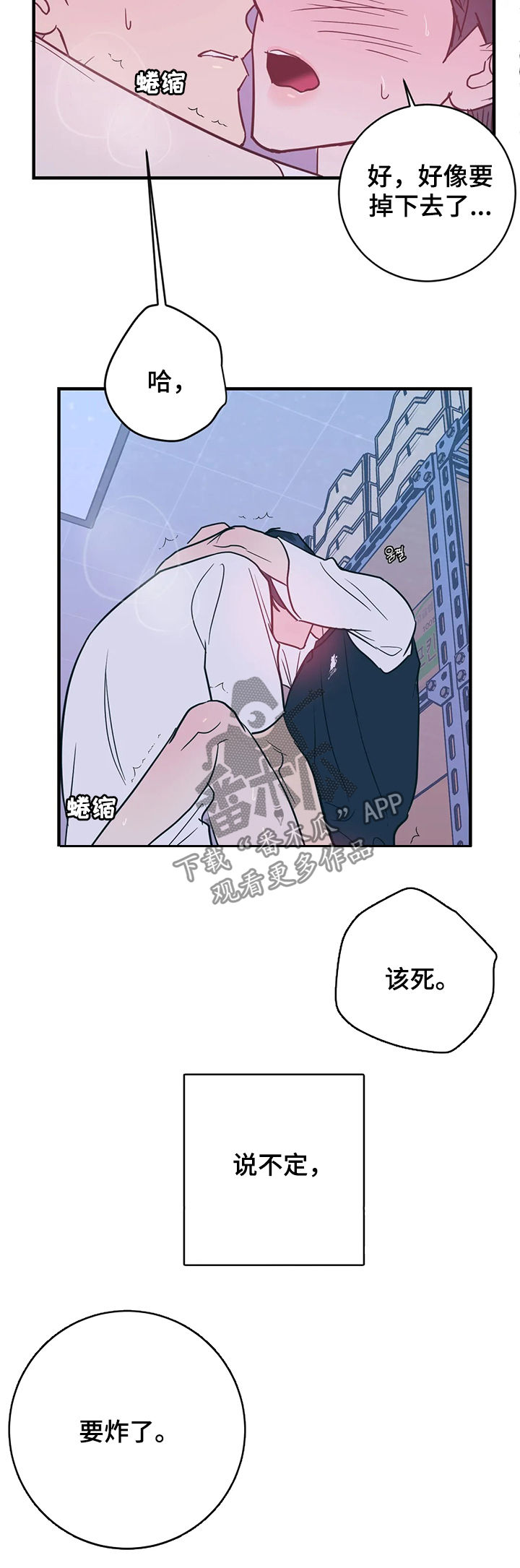 第31章：自作多情17