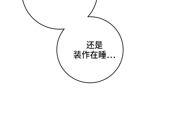 第63章：求婚吗15