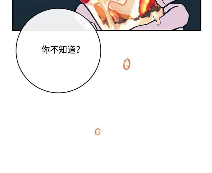 第58章：污渍31