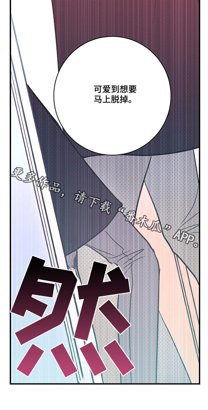 第19章：可爱11