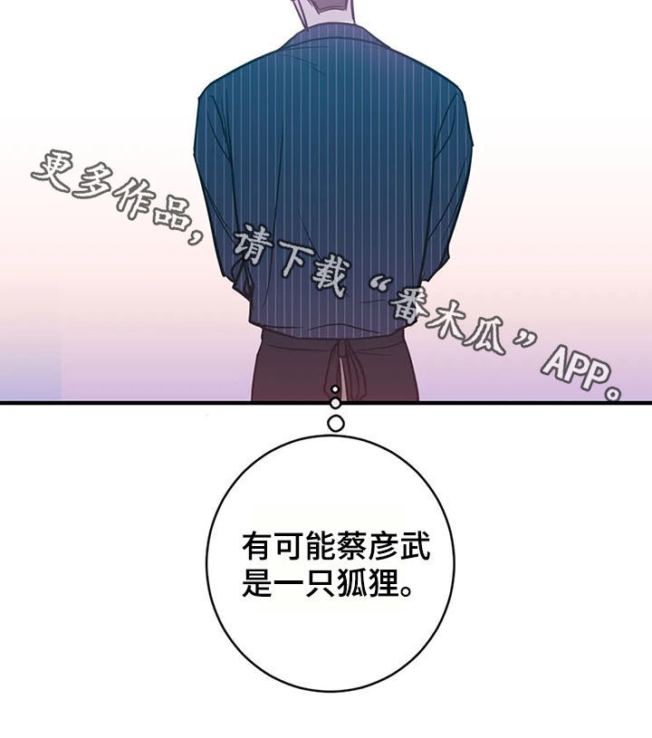 第16章：一只狐狸8