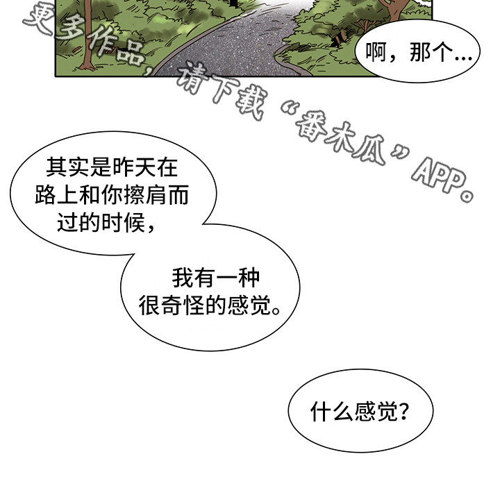 第6章：感受10