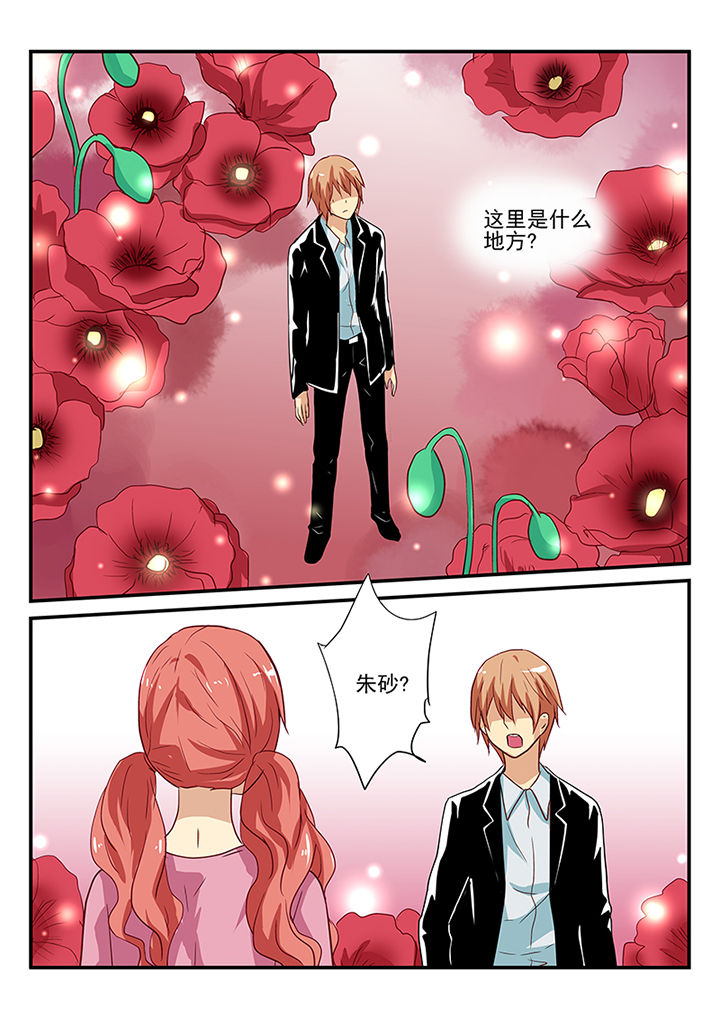 第56章：3