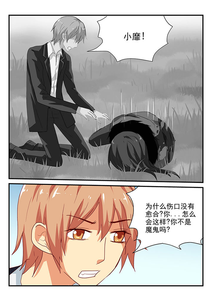 第62章：8