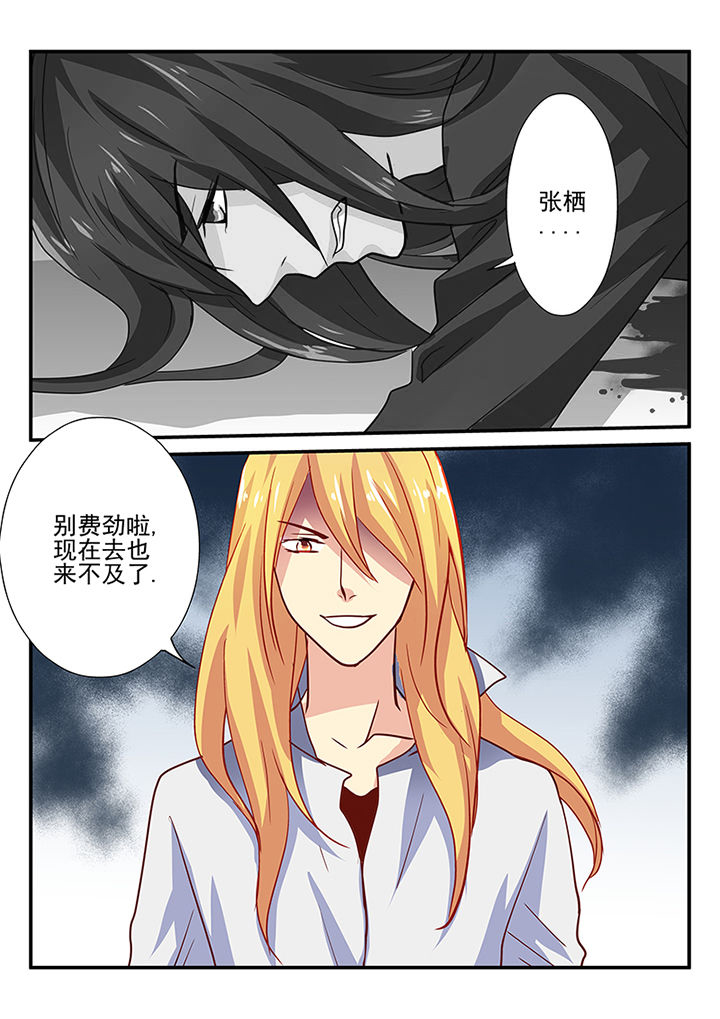 第34章：5