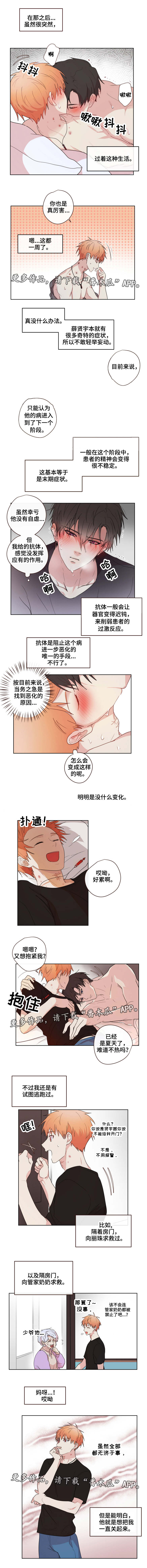 第19章：依赖2