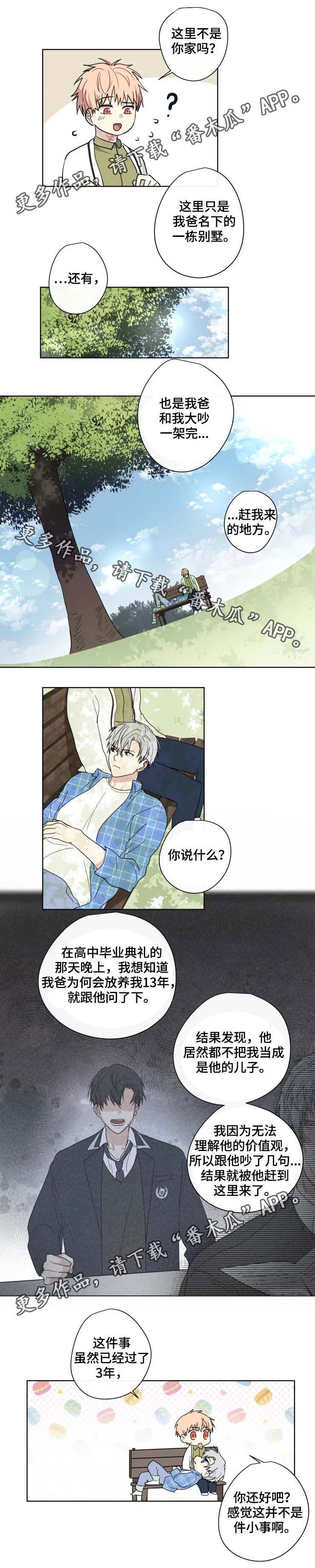 第33章：答案6