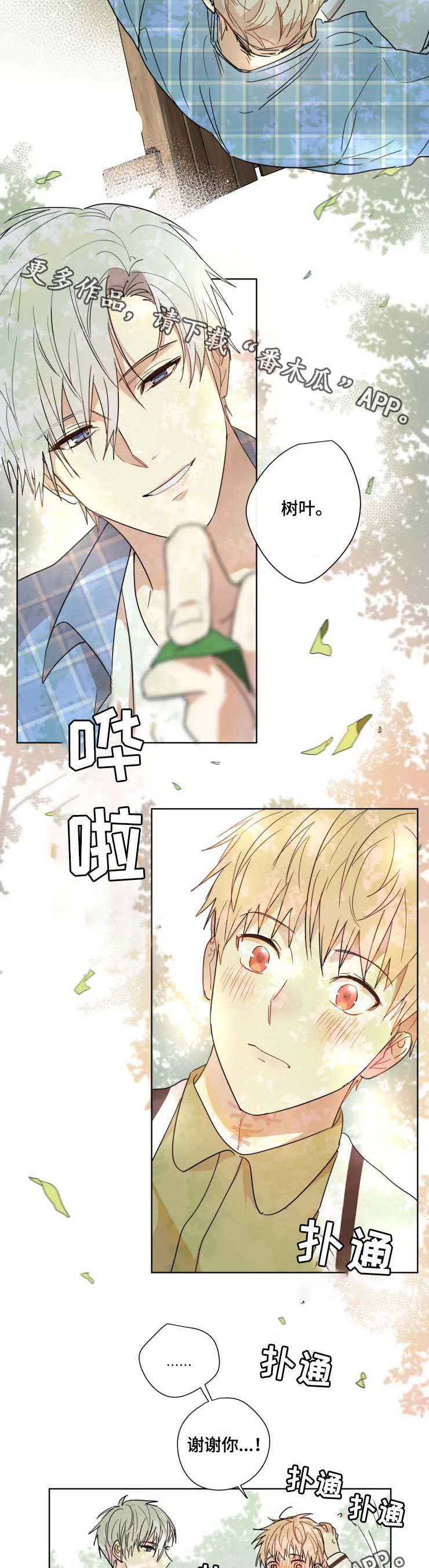 第33章：答案2