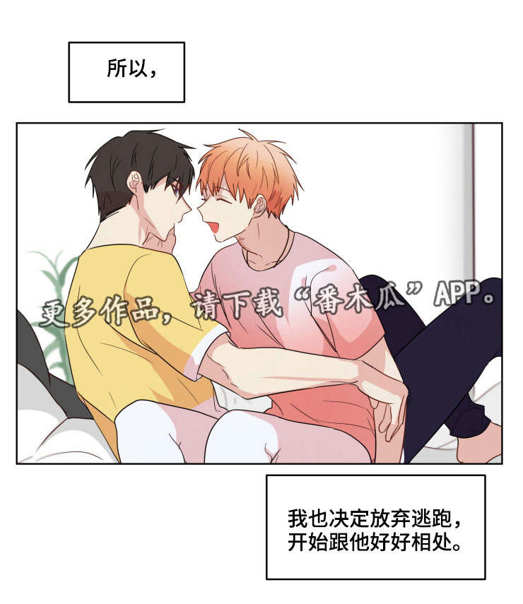 第19章：依赖3