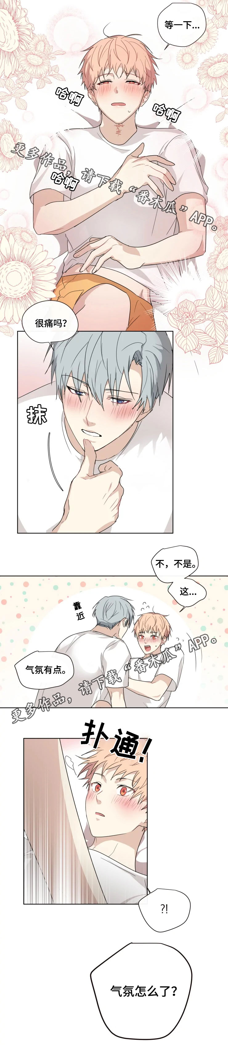 第31章：表白1