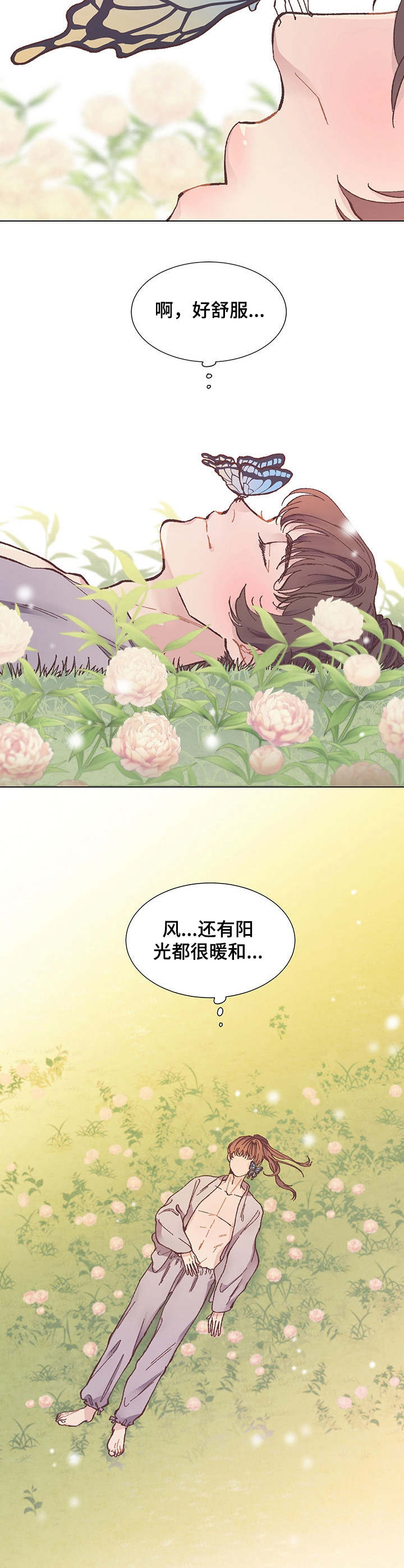 第7章：蝴蝶7
