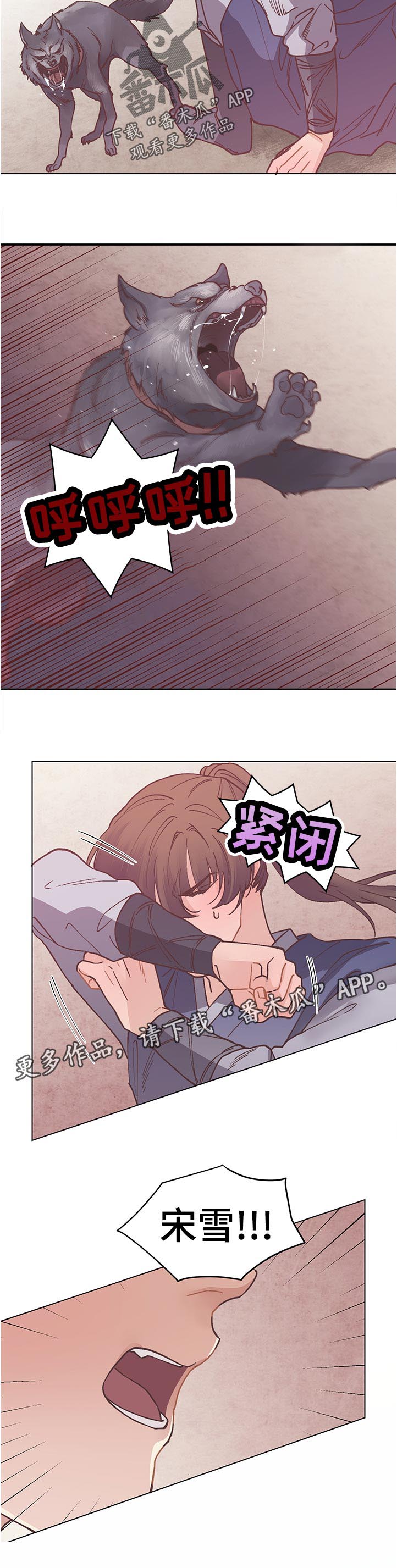 第27章：为什么11