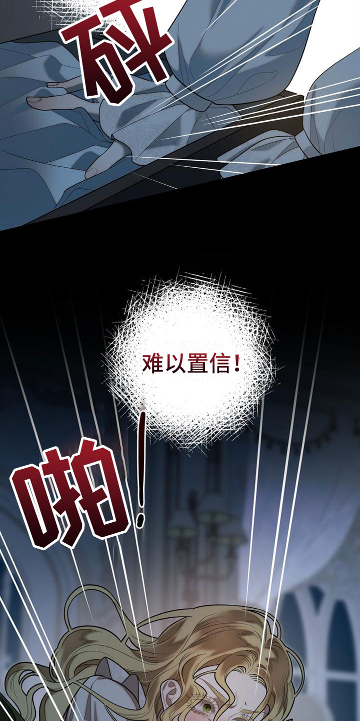 第2章：我要去巴黎26