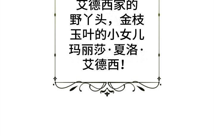 第1章：野丫头12