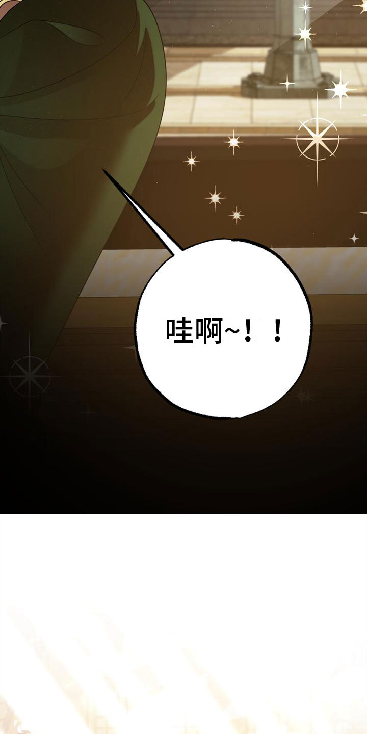 第3章：到了巴黎5