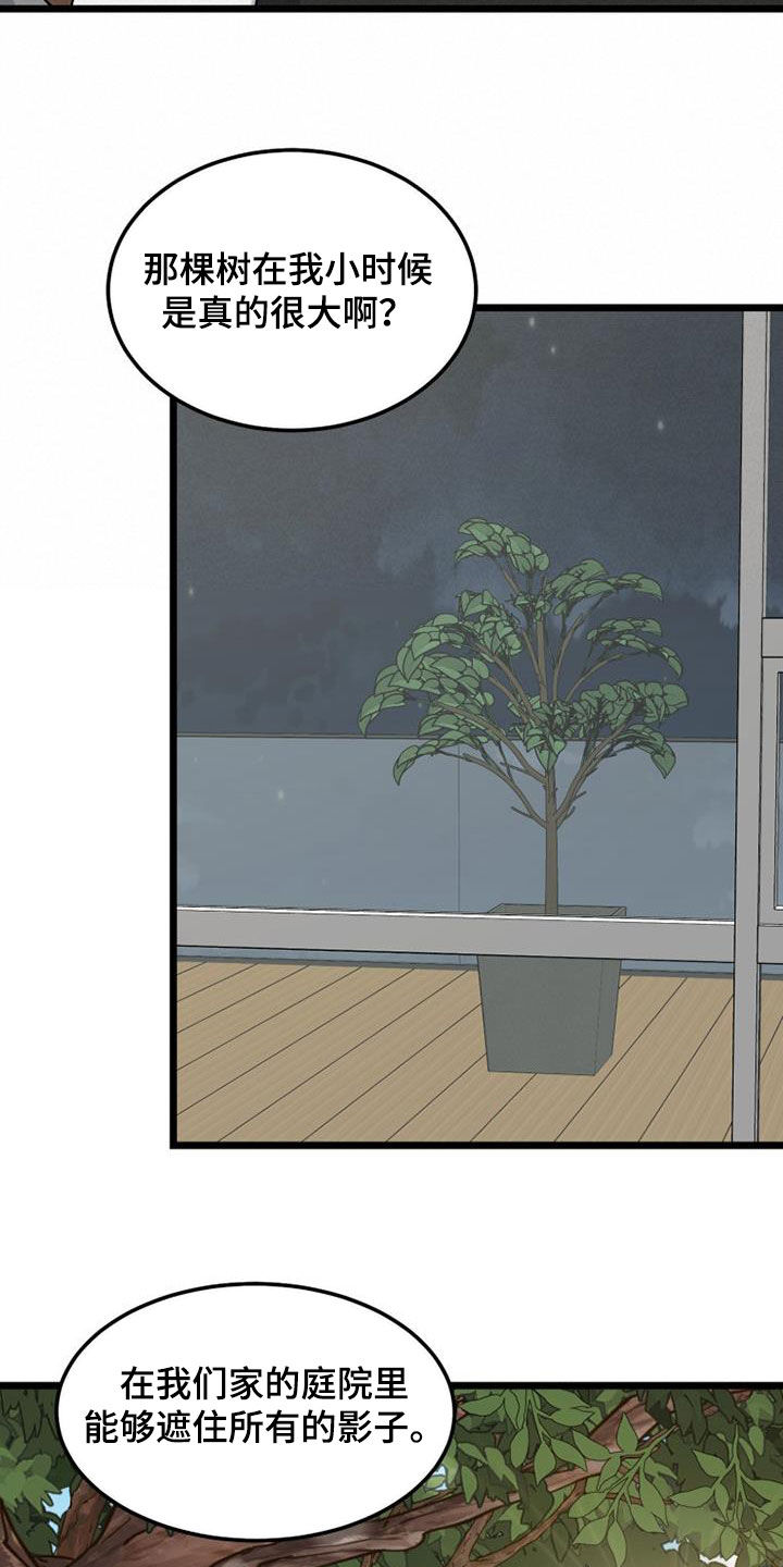 第41章：幸福的心情16
