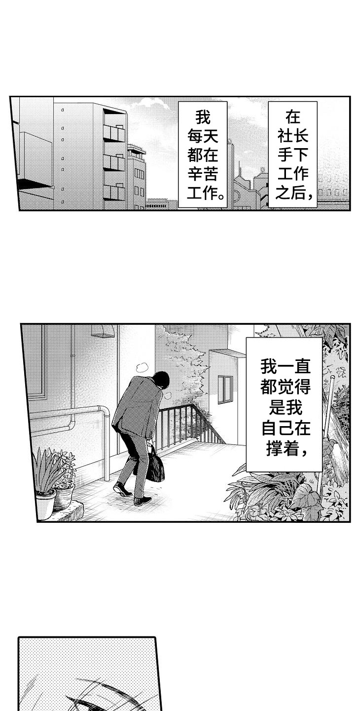 第13章：指责5