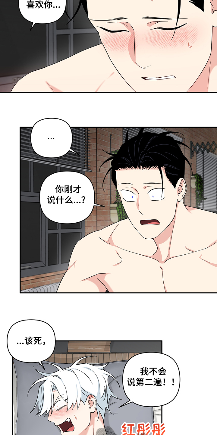 第112章：【后记完结】世界依旧闪耀1