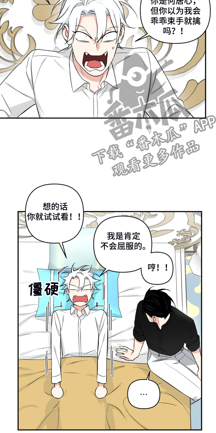 第127章：【番外】什么感情？11