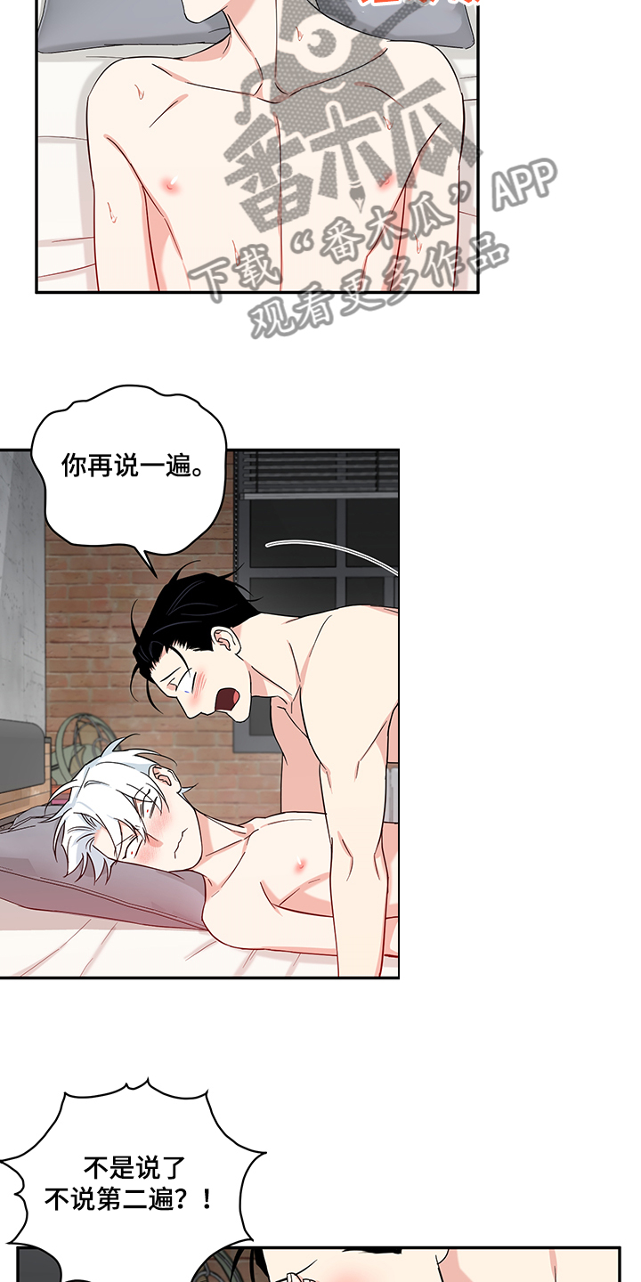 第112章：【后记完结】世界依旧闪耀2