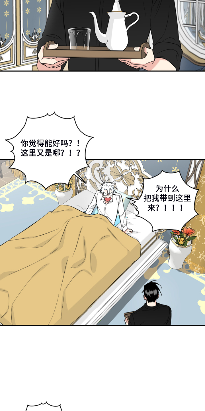 第127章：【番外】什么感情？4