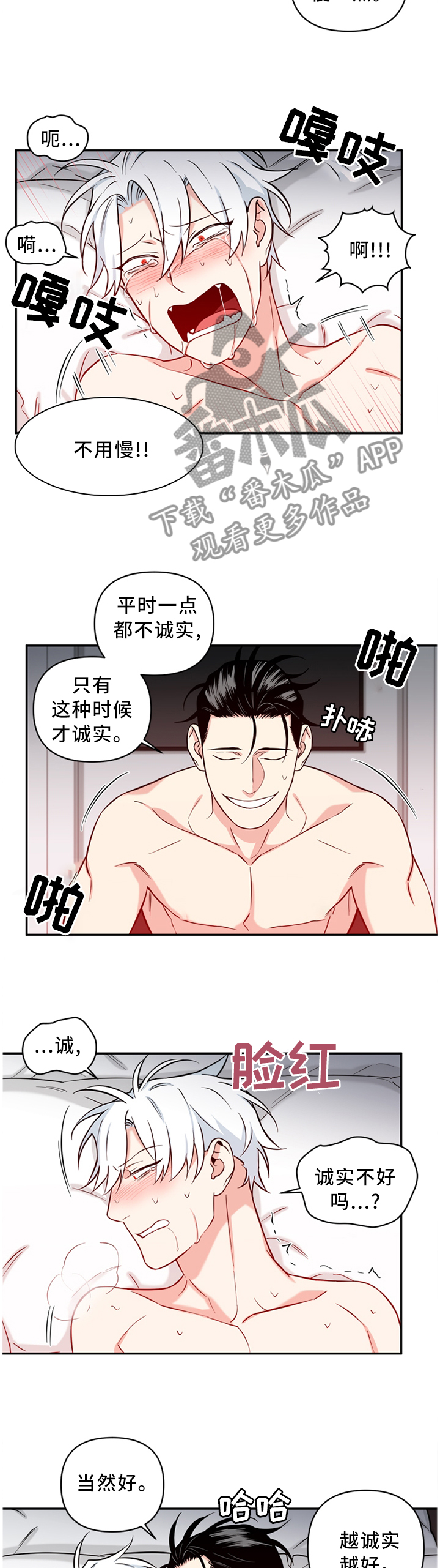 第52章：诚实7