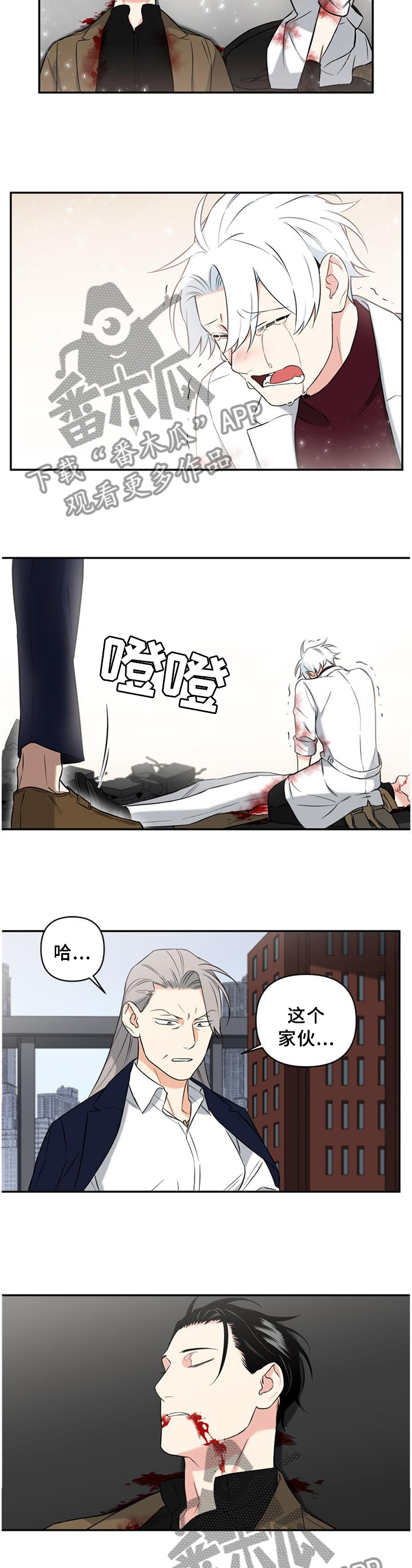 第62章：遗言9