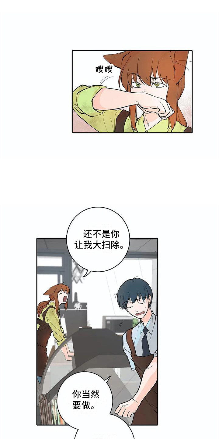 第11章：步骤6