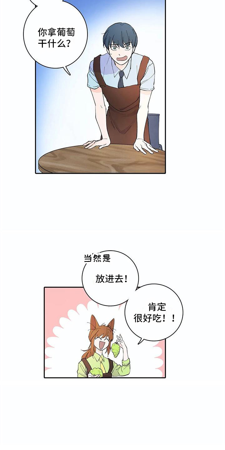 第11章：步骤14