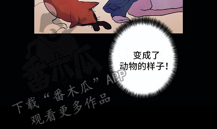 第20章：活久见7