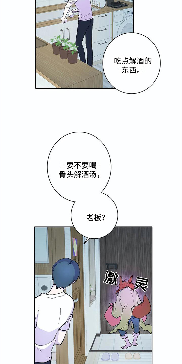 第21章：错觉11