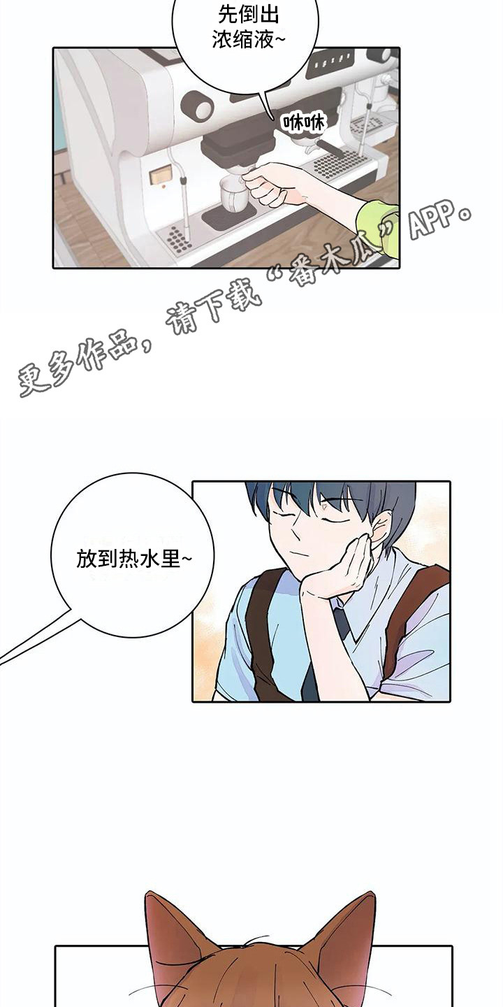 第11章：步骤10