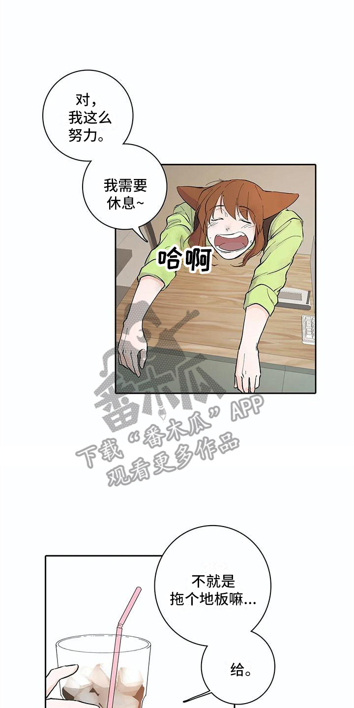 第10章：大扫除12